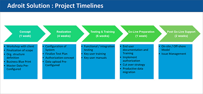 Adroit Solution : Project Timelines